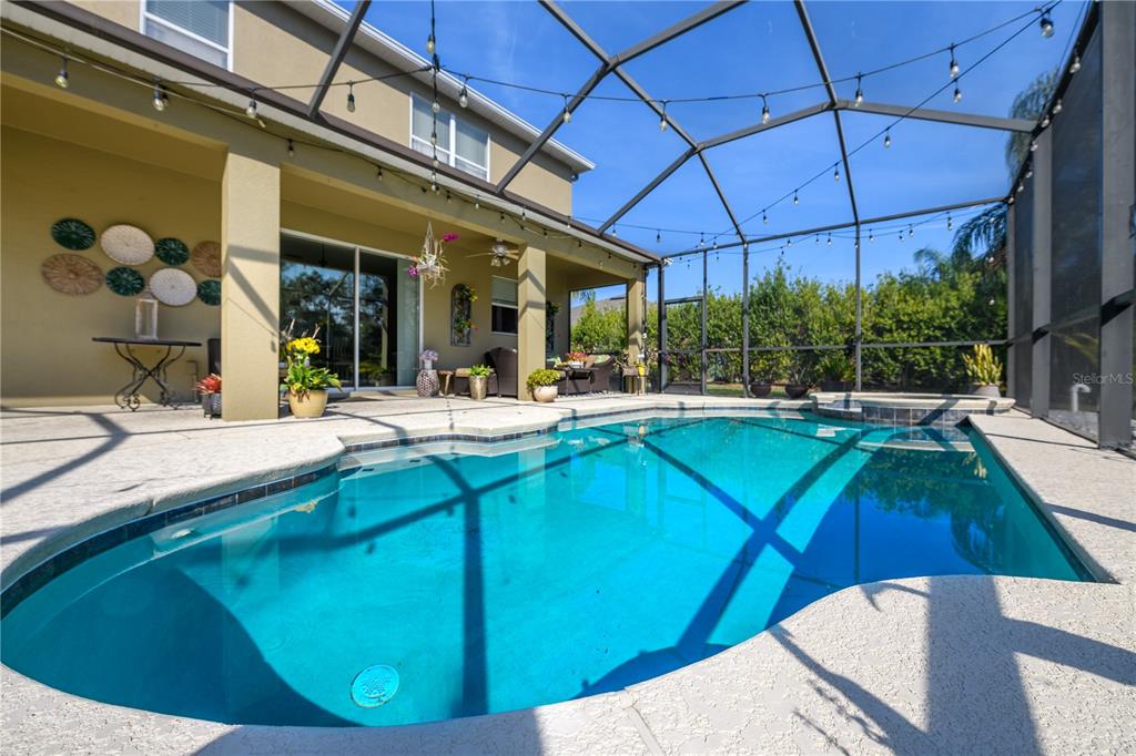 20213 Regal Fern Court Tampa, FL 33647 - Photo 46 of 65 a view of a backyard with swimming pool