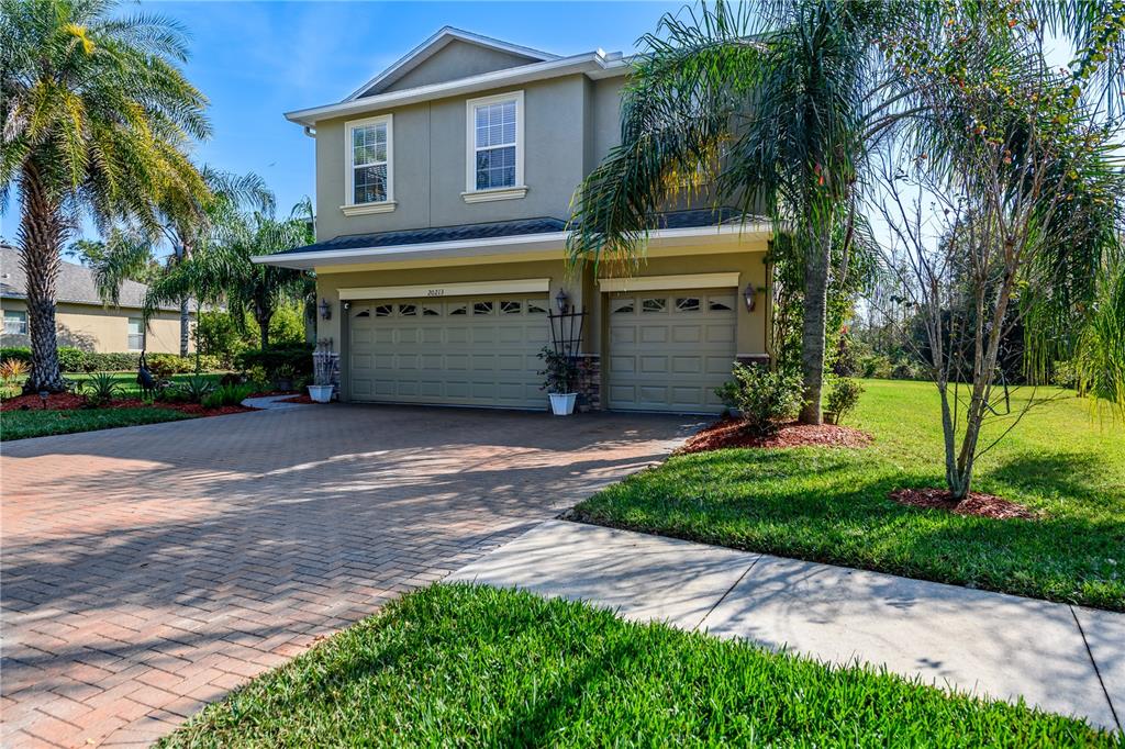 20213 Regal Fern Court Tampa, FL 33647 - Photo 52 of 65 a view of a house with a yard and palm trees