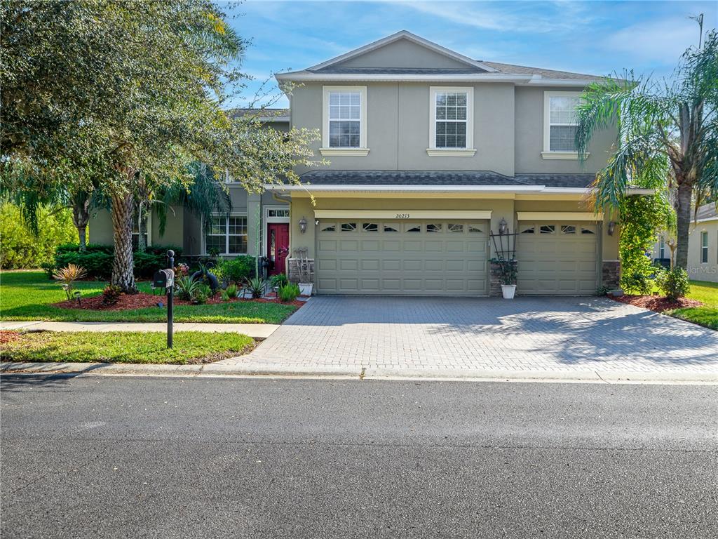 20213 Regal Fern Court Tampa, FL 33647 - Photo 56 of 65 a view of a house with a yard and large tree