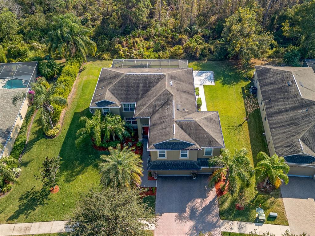 20213 Regal Fern Court Tampa, FL 33647 - Photo 60 of 65 an aerial view of a house with swimming pool and large trees