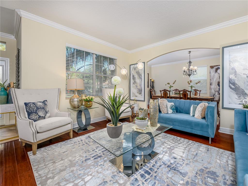20213 Regal Fern Court Tampa, FL 33647 - Photo 6 of 65 a living room with furniture and a potted plant