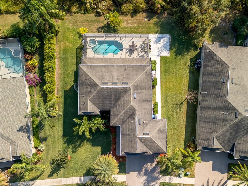 20213 Regal Fern Court Tampa, FL 33647 - Photo 61 of 65