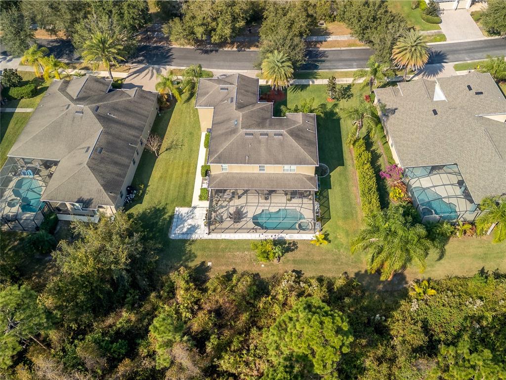 20213 Regal Fern Court Tampa, FL 33647 - Photo 63 of 65