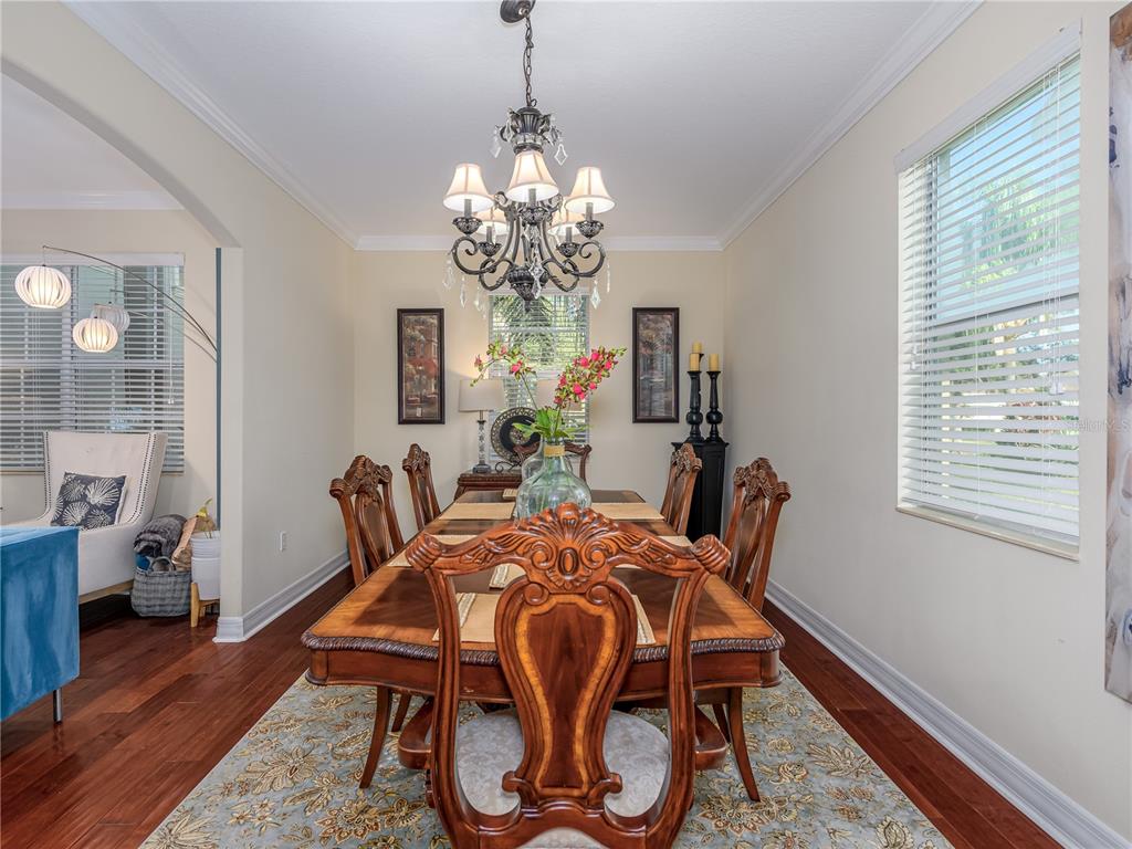 20213 Regal Fern Court Tampa, FL 33647 - Photo 7 of 65 a dining room with furniture a chandelier and wooden floor
