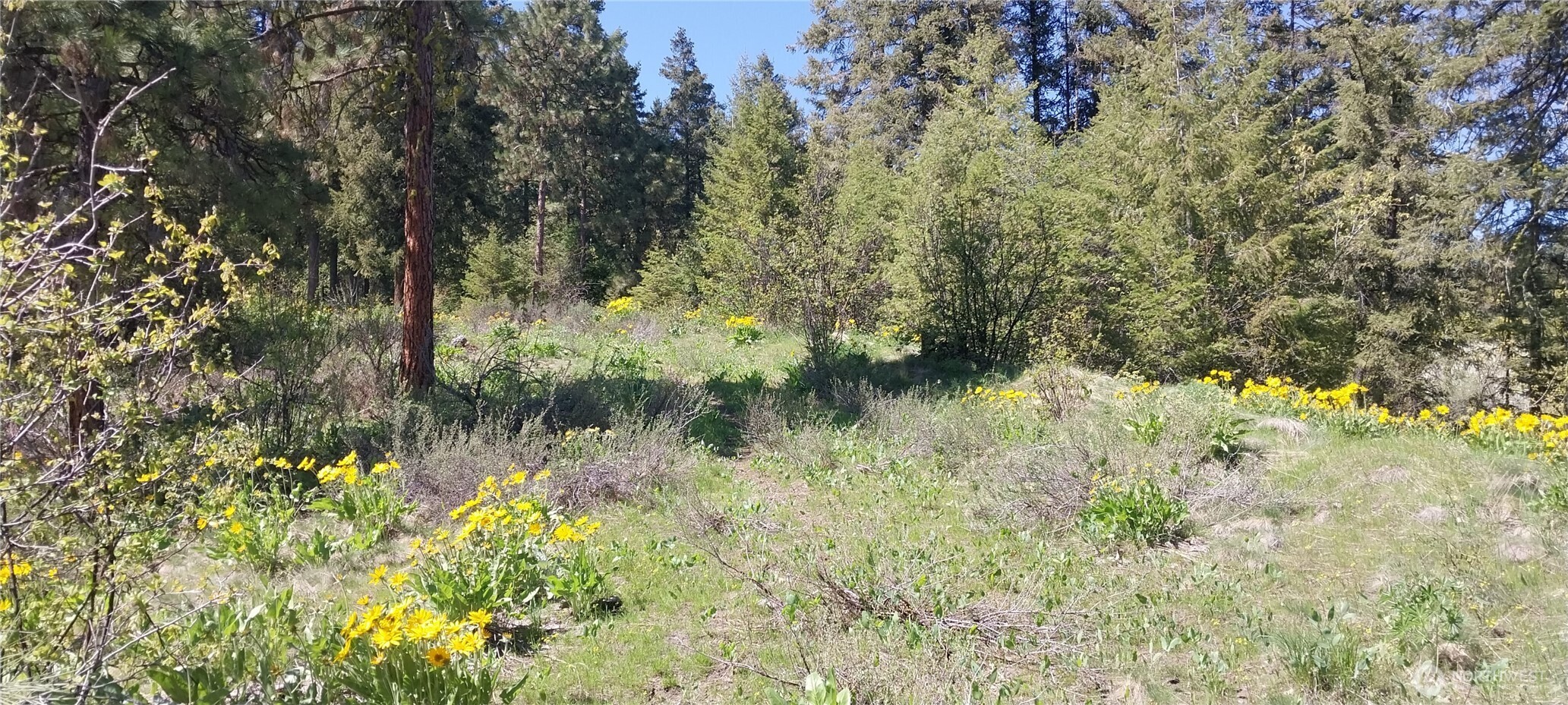 8010 Green Road Peshastin, WA 98847 - Photo 10 of 15