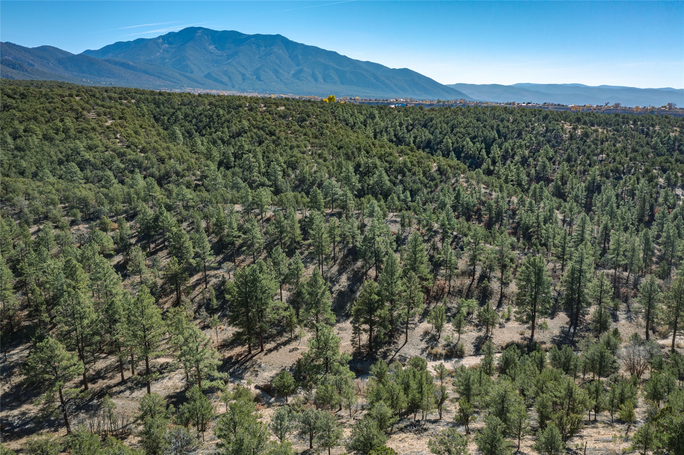 0 Gallina Canyon Road Valdez, NM 87580 - Photo 18 of 24
