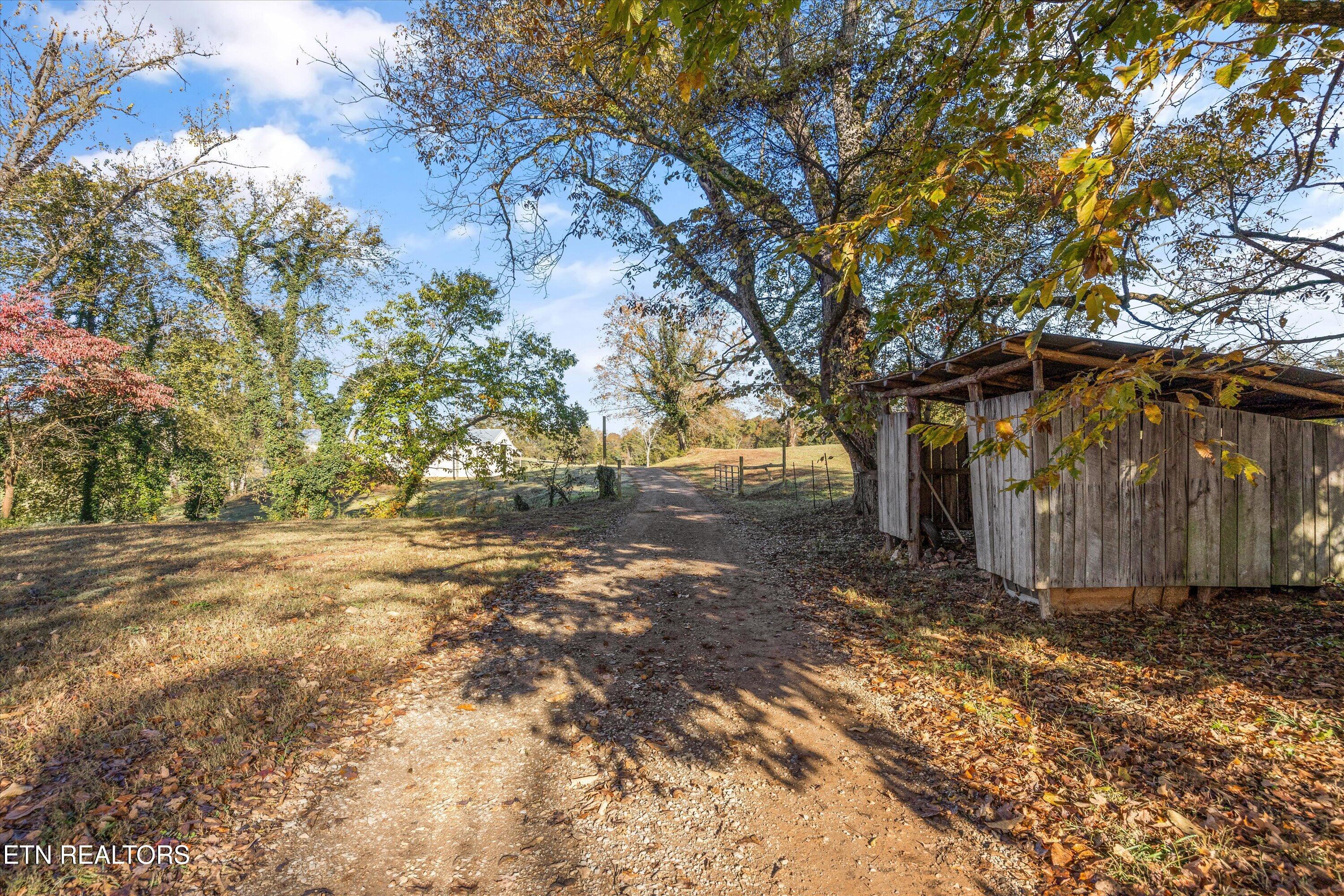 727 Bales Hollow Road Friendsville, TN 37737 - Photo 11 of 18 11-727 Bales Hollow Rd01
