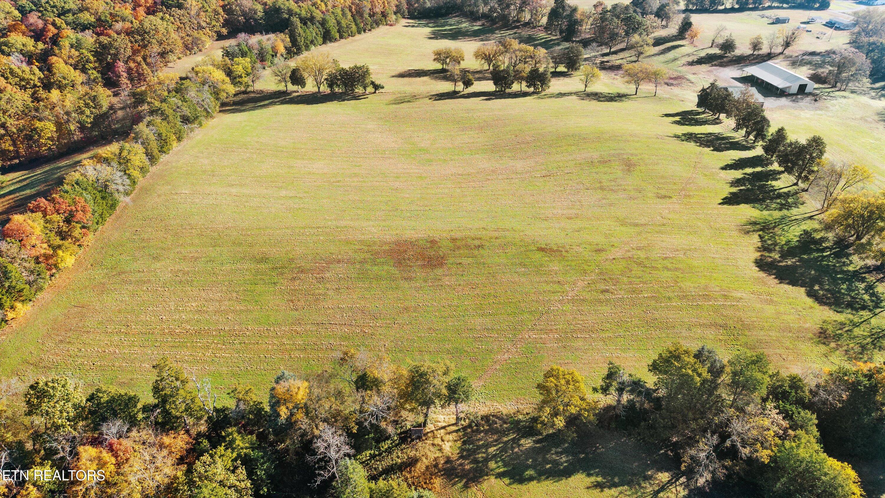 727 Bales Hollow Road Friendsville, TN 37737 - Photo 8 of 18 08-727 Bales Hollow Rd12