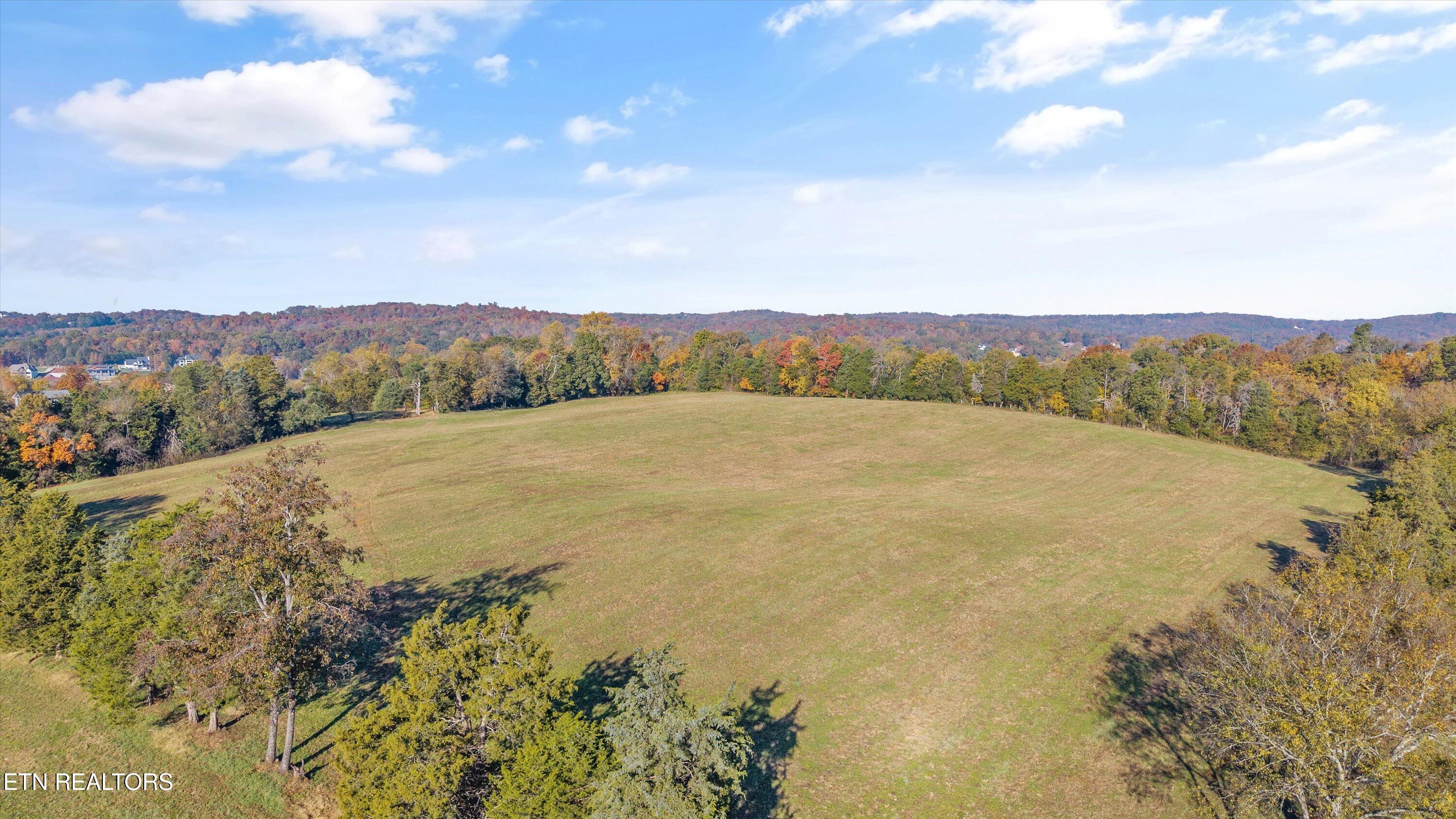 727 Bales Hollow Road Friendsville, TN 37737 - Photo 9 of 18 09-727 Bales Hollow Rd15
