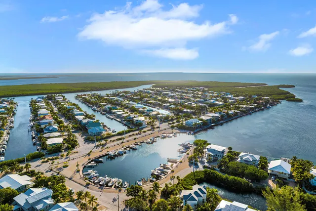 a picture of a bench in front of a white wall