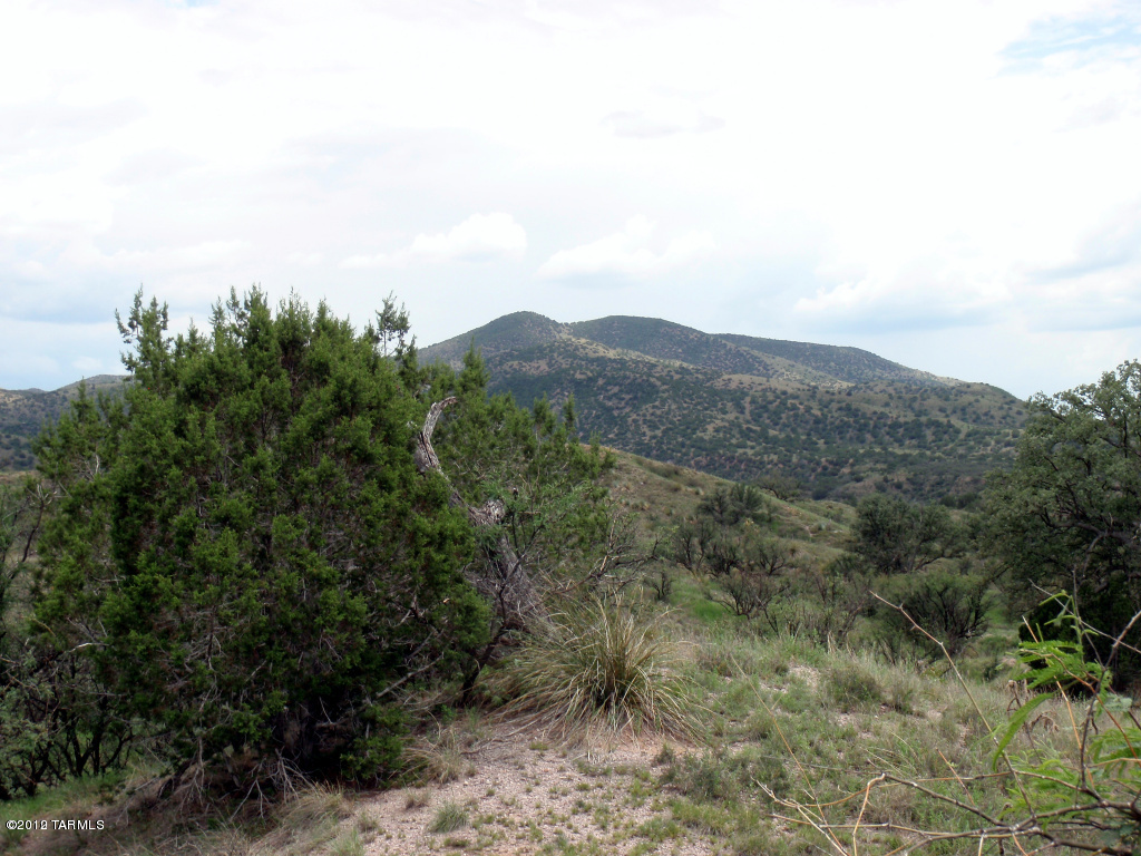 Tbd Wood Canyon Road, Unit 7 Patagonia, AZ 85624 - Photo 3 of 9
