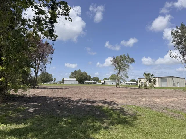 a view of backyard and tree