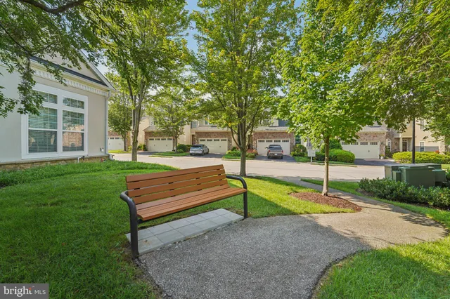 a park view with a bench and trees