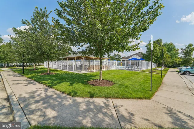 a view of a park with large trees
