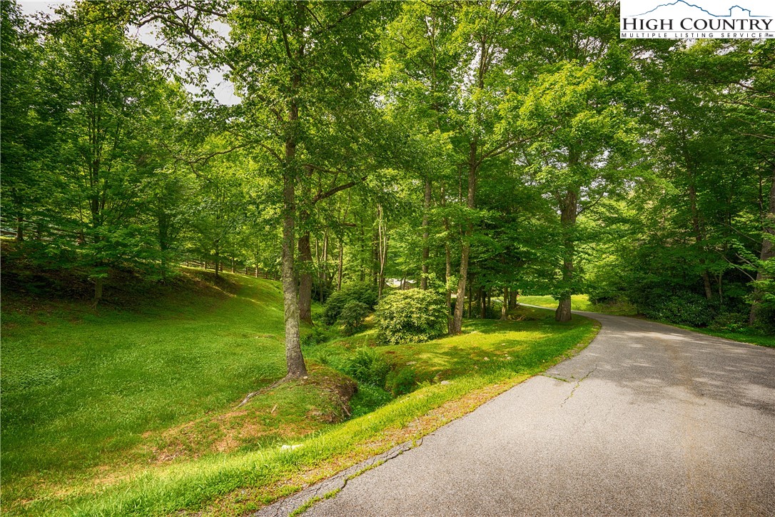 Lot 23 Cielo Road Blowing Rock, NC 28605 - Photo 11 of 16 a view of a park with large trees