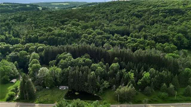 $69,900 | 9023 State Rte 21, Fremont, NY 14826