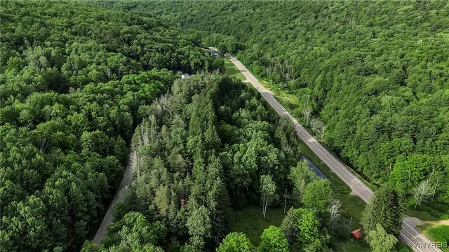 $69,900 | 9023 State Rte 21, Fremont, NY 14826