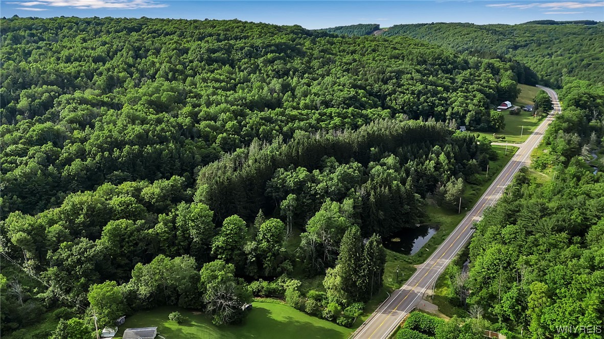 9023 State Rte 21 Fremont, NY 14826 - Photo 23 of 23 Aerial view