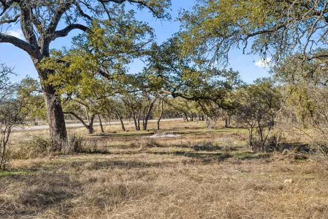 a view of dirt yard with a tree