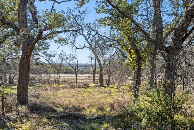 a view of yard with trees