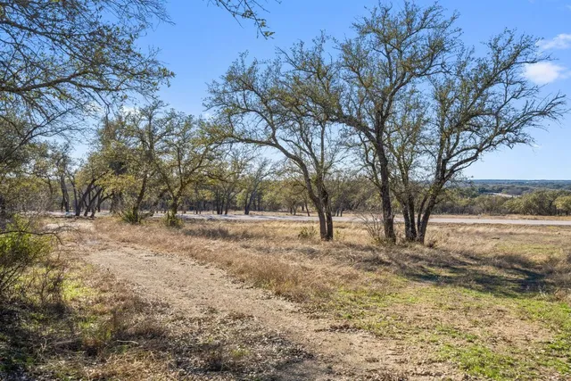 a view of a yard with a tree