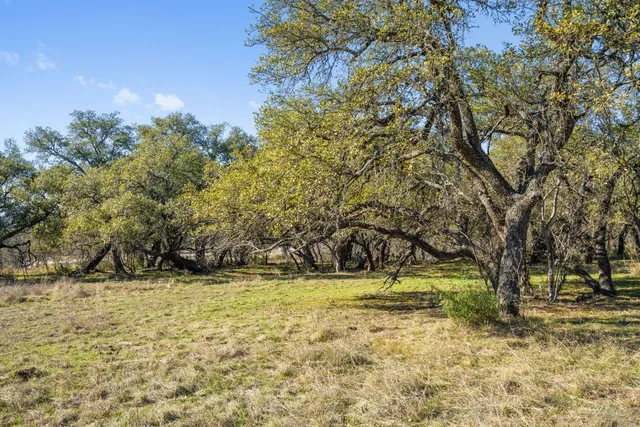 a view of swimming pool with an outdoor space