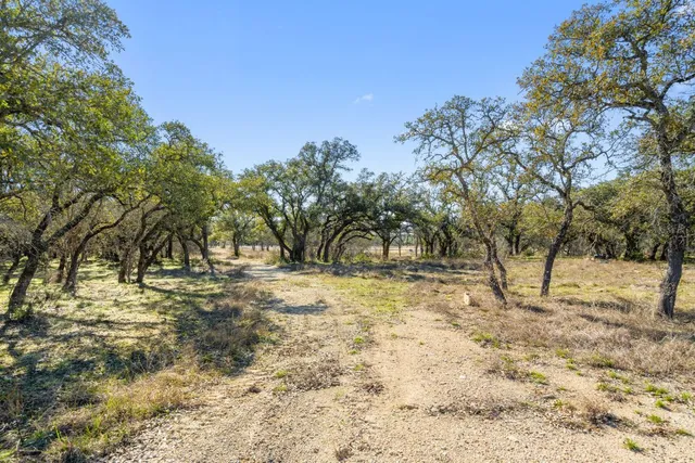 a view of empty yard with trees