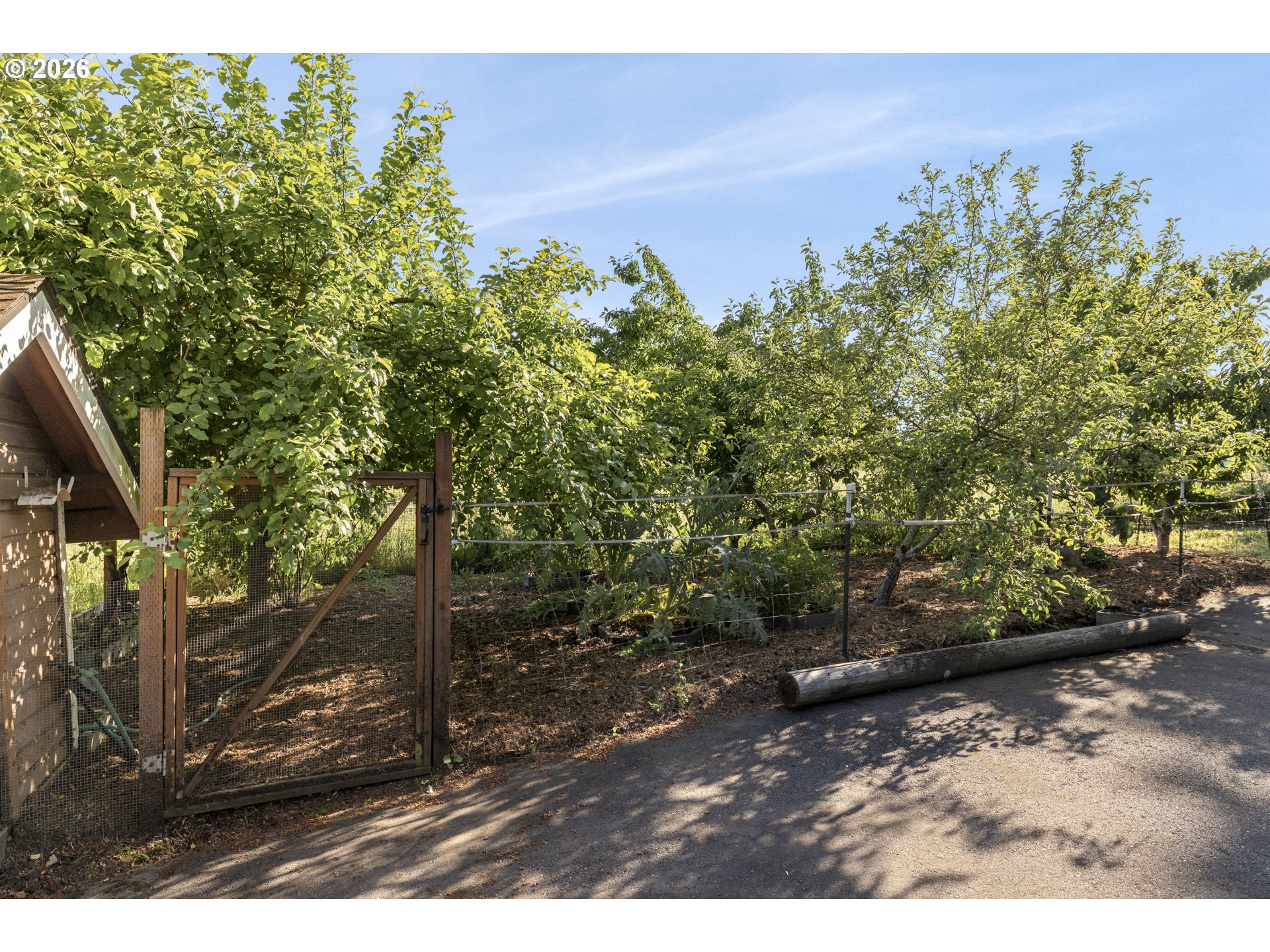 4515 Cordon Road Northeast Salem, OR 97305 - Photo 32 of 48 a view of a yard with plants and a bench