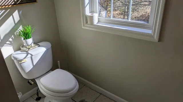 a white toilet sitting next to a window