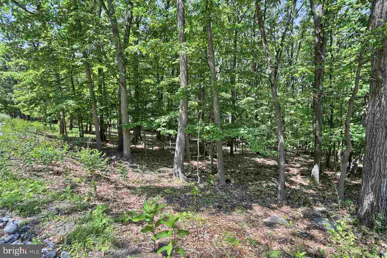 1250 Kuhn Road Boiling Springs, PA 17007 - Photo 24 of 25 Gallery Image 24