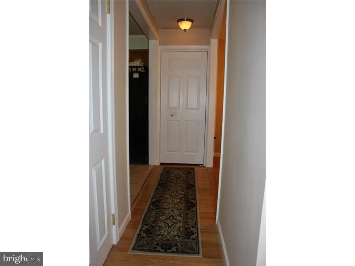 20 Delaware Avenue Ridley Park, PA 19078 - Photo 7 of 25 Gallery Image 7