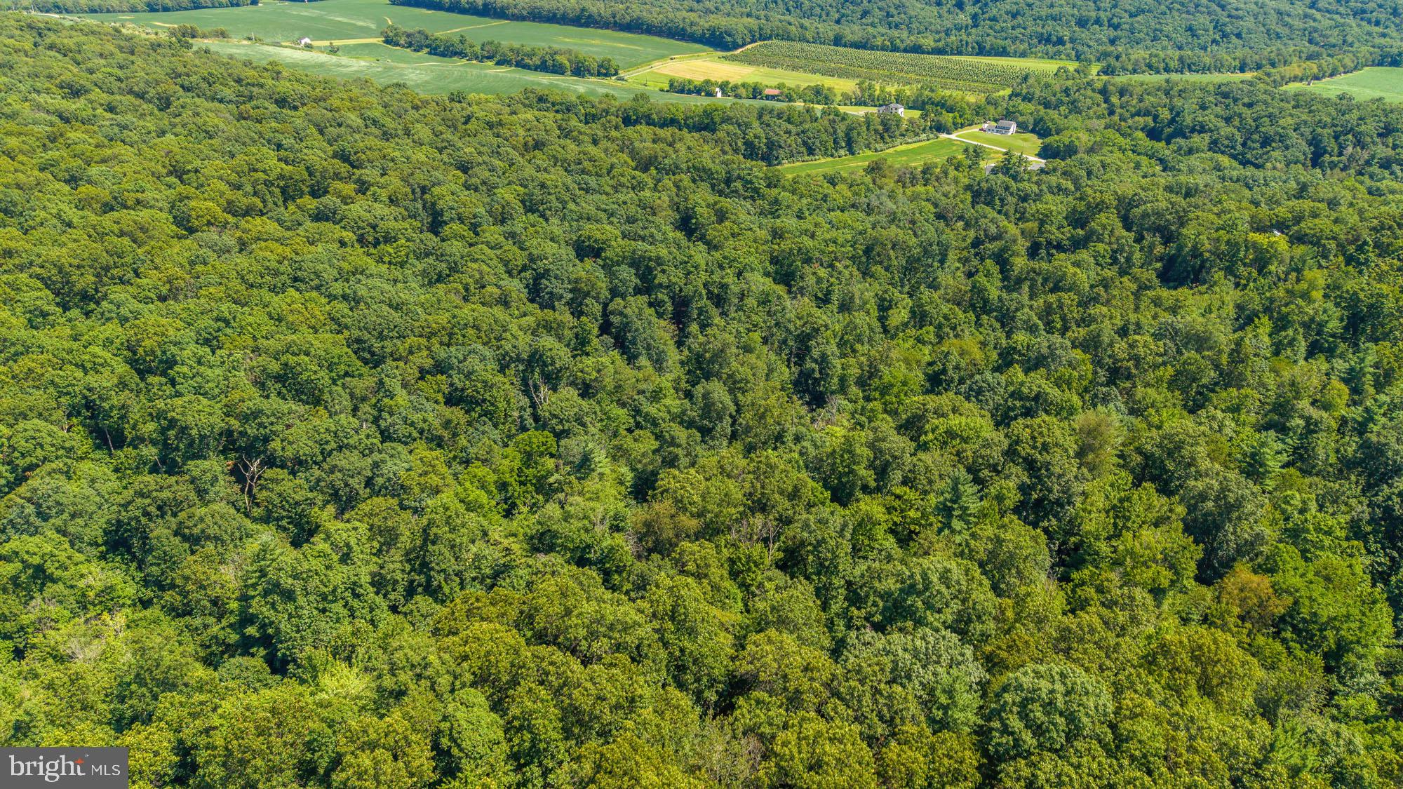 Hartman Road Danville, PA 17821 - Photo 7 of 11 Lush green forest meets open fields.