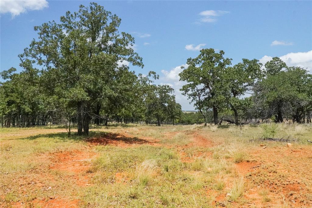 16.5-acres Burwick Road Jacksboro, TX 76458 - Photo 19 of 38