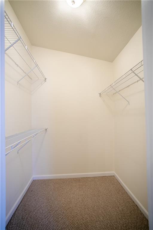 6916 Spring Valley Lane Export, PA 15632 - Photo 17 of 25 Gallery Image 17