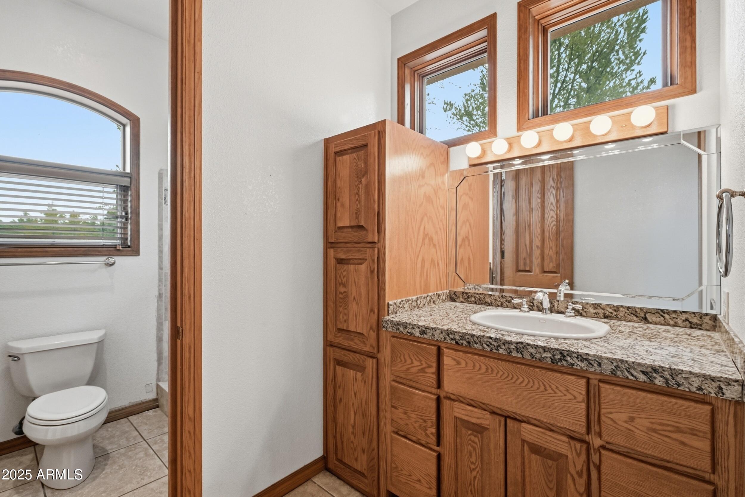 1606 Becky Circle Payson, AZ 85541 - Photo 28 of 58 a bathroom with a granite countertop sink toilet and a mirror