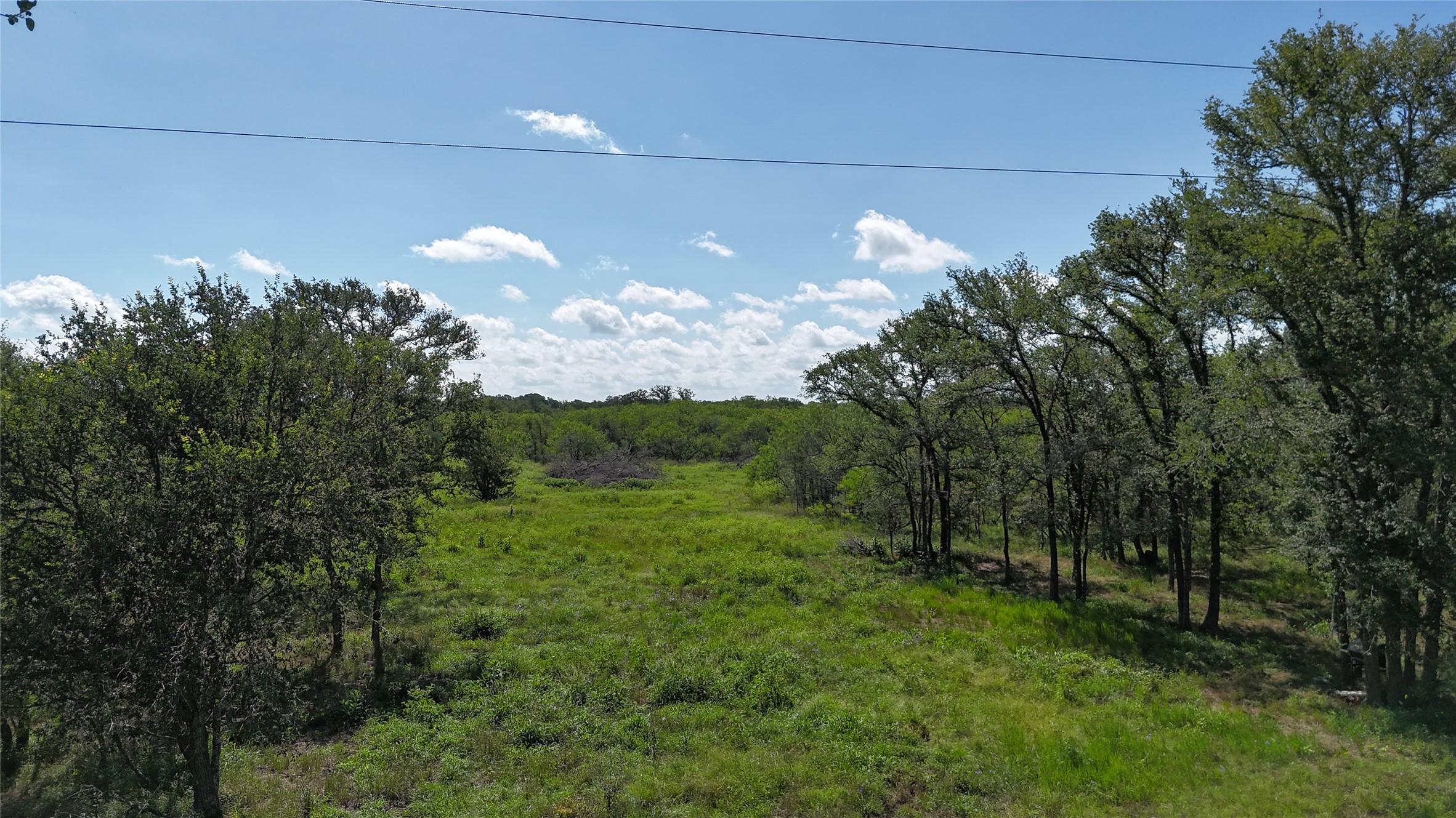1554 Father Anders Loop Waelder, TX 78959 - Photo 4 of 9 Expansive acreage featuring lush green grass and numerous trees, offering a serene environment