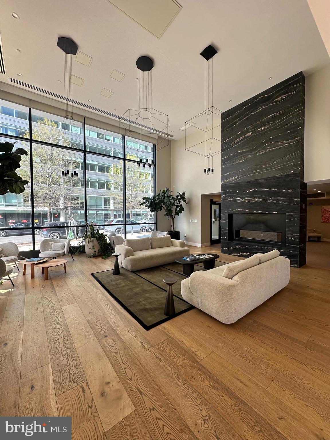 37 L Street Southeast, Unit 302 Washington, DC 20003 - Photo 10 of 17 Lobby