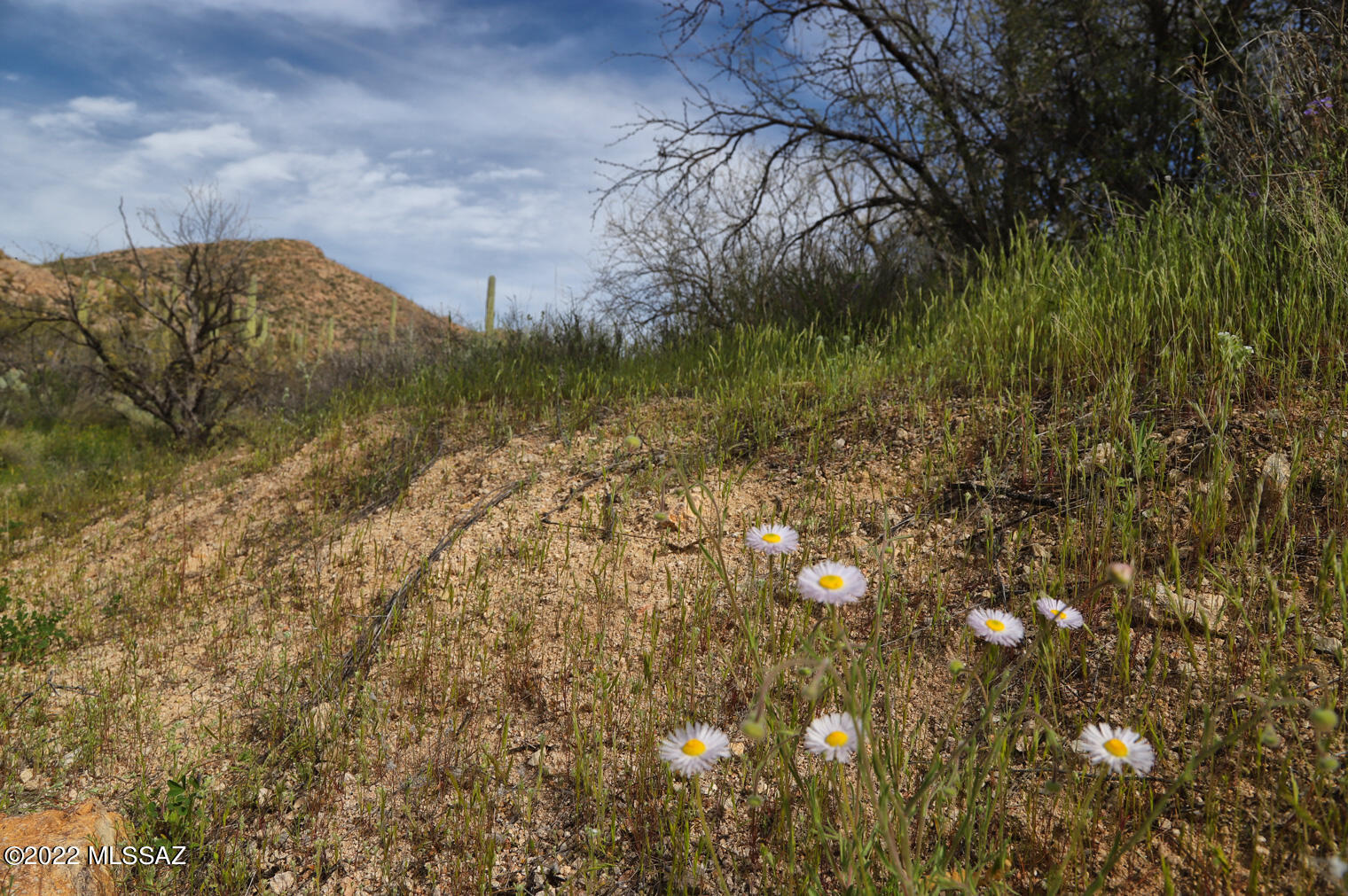 12655 East Roger Road, Unit 10 Tucson, AZ 85749 - Photo 28 of 29 Gallery Image 28