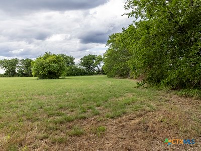 7805 Barbarosa Road New Braunfels, TX 78130 - Photo 14 of 24 a view of a green field with wooden fence