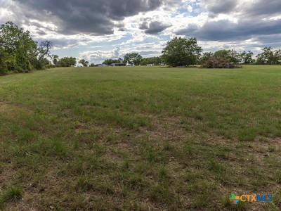 7805 Barbarosa Road New Braunfels, TX 78130 - Photo 16 of 24 a view of a field with an trees