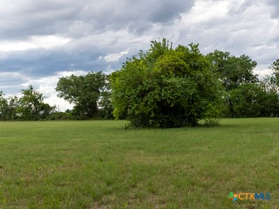 7805 Barbarosa Road New Braunfels, TX 78130 - Photo 17 of 24 a view of a field of grass and trees