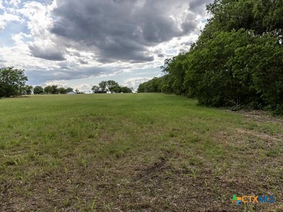 7805 Barbarosa Road New Braunfels, TX 78130 - Photo 18 of 24 a view of field with trees in background