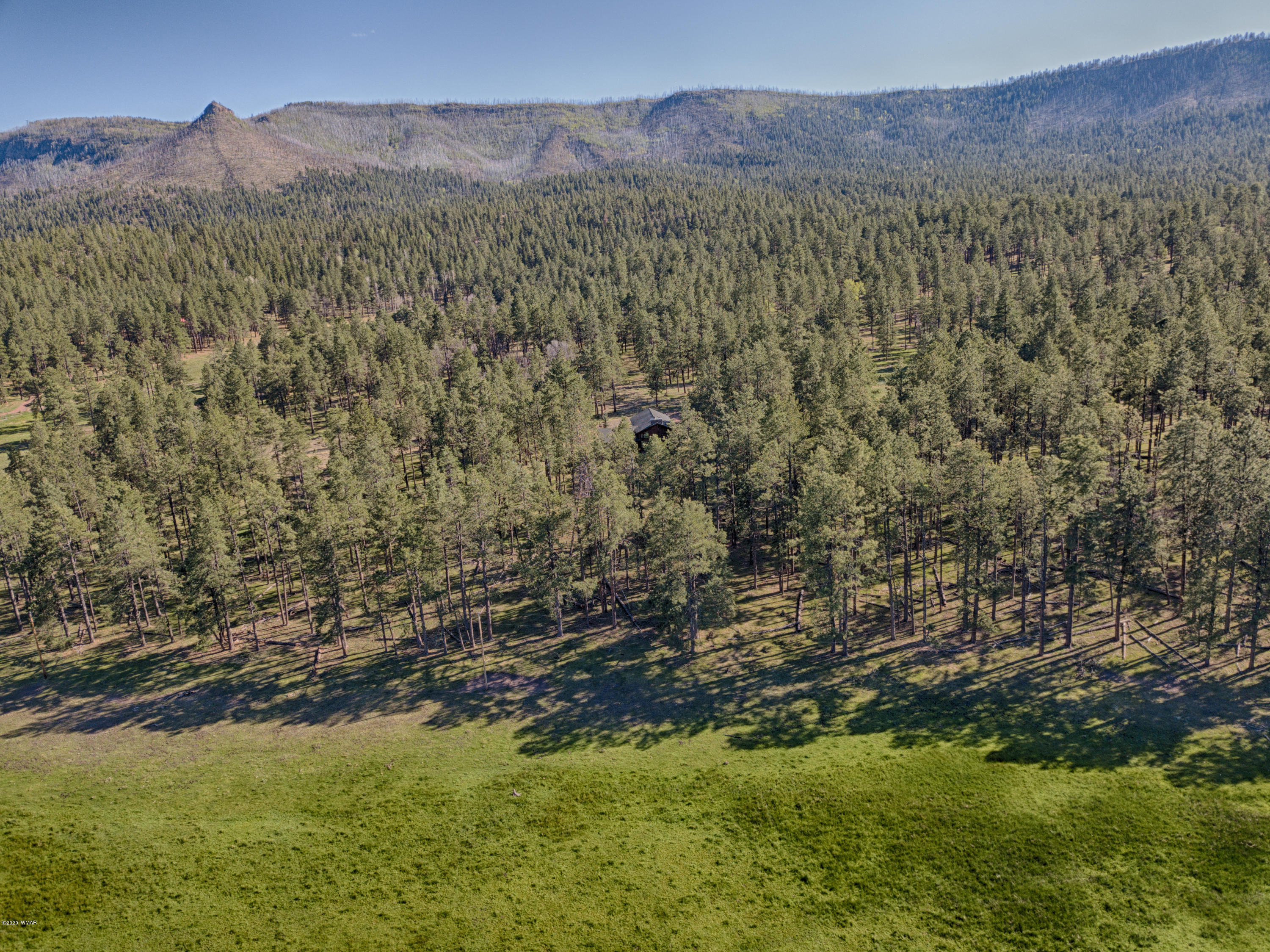 5 County Road Alpine, AZ 85920 - Photo 2 of 31