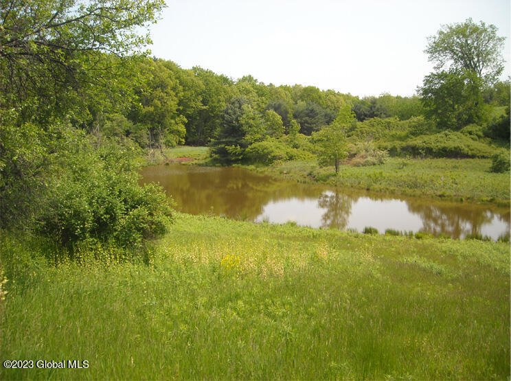 153 Croll Road Pittstown, NY 12185 - Photo 3 of 4 Pincherpic3