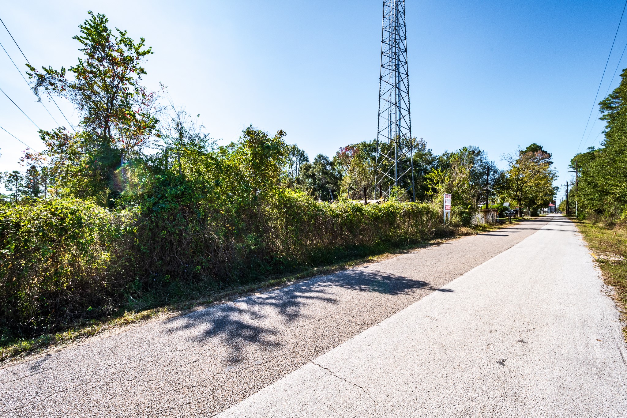 22688 Oakley Road New Caney, TX 77357 - Photo 4 of 11 a view of a pathway with a wrought fence