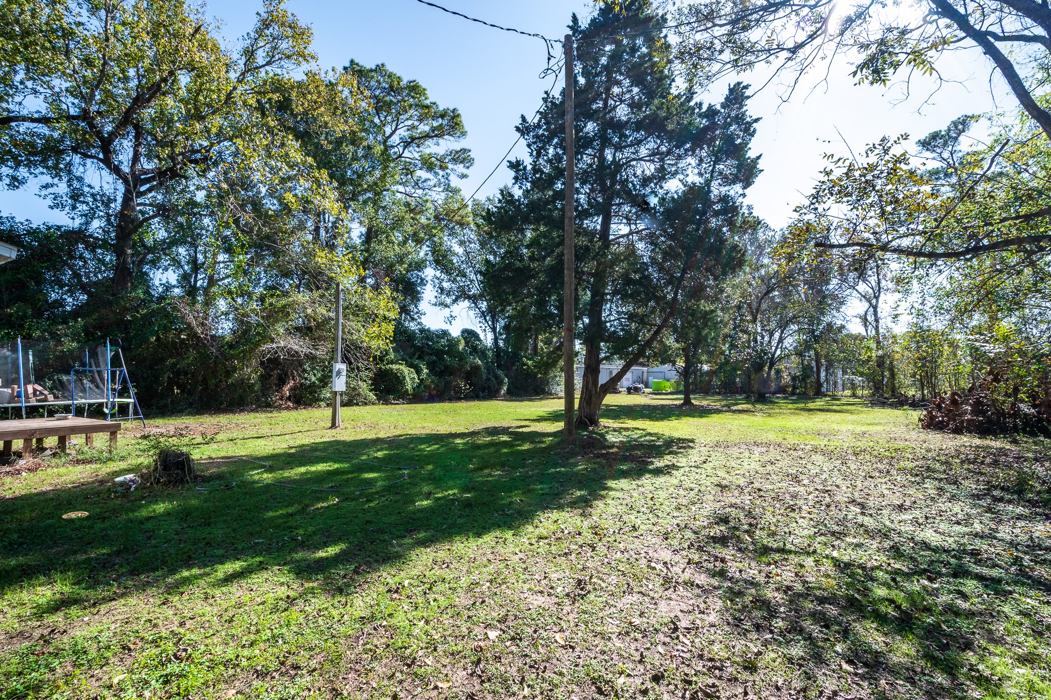 22688 Oakley Road New Caney, TX 77357 - Photo 8 of 11 a view of a park with a tree