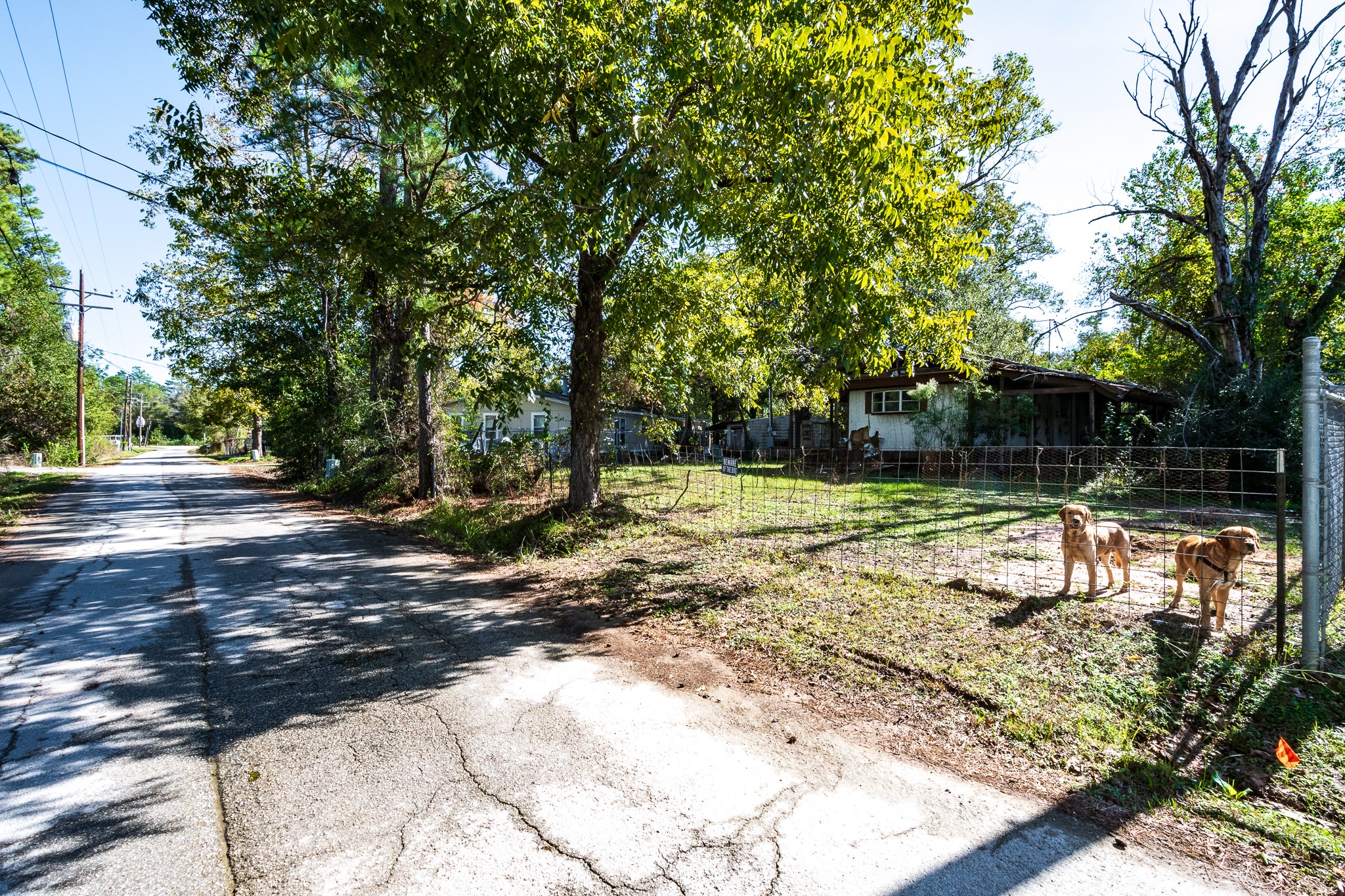 22688 Oakley Road New Caney, TX 77357 - Photo 10 of 11 a view of a yard with large trees