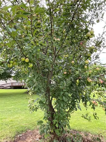 $160,500 | 18615 137th Street, Pattonsburg, MO 64670