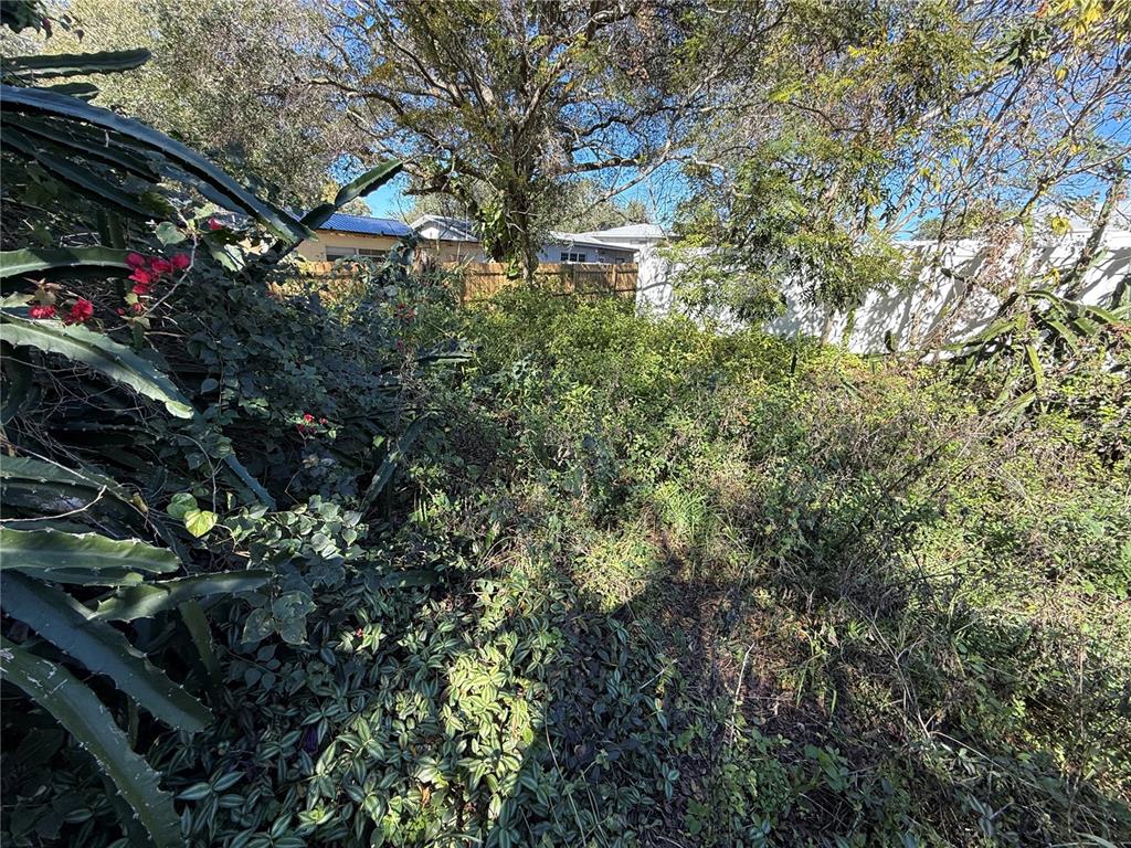 6515 Taylor Court New Port Richey, FL 34653 - Photo 11 of 23 a view of outdoor space and trees