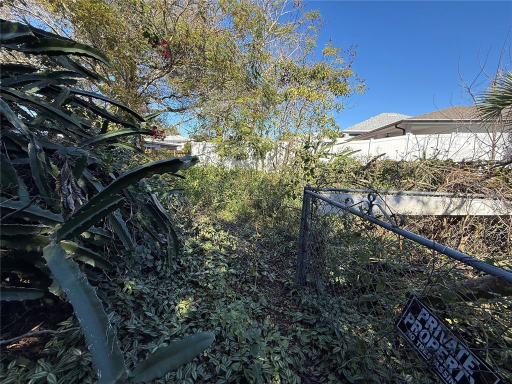 6515 Taylor Court New Port Richey, FL 34653 - Photo 12 of 23 a view of tree